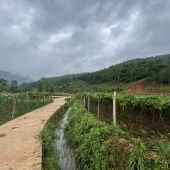 Bán 5444m2 đất Mộc Châu thích hợp làm homestay nghỉ dưỡng ,giá rẻ đón đầu sóng cao tốc