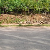 Bán đất mặt đường QL 43 đường đi Lóng Sập Mộc Châu giá đầu tư lợi nhuận cao