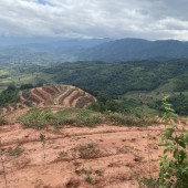 31ha Chiềng Sơn, Mộc Châu. Nghe giá là mê