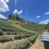 Bán lô đất 4.7ha đất trồng cây hàng năm, Phiêng Luông, Mộc Châu