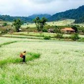 BÁN MẢNH ĐẤT 1000M2 VIEW CỰC ĐẸP - TIỀM NĂNG, ĐẦU TƯ LÀ THẮNG