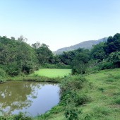 Cần bán nhanh lô đất 15000m2 làm sinh thái nhà vườn cực đẹp tại Lương Sơn,cách hà nội 38km