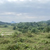 Bán lô đất view cánh đồng 4500m2/400m đất ở, Cư Yên, Lương Sơn, Hòa Bình
