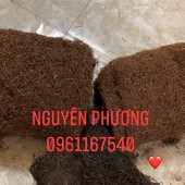 THUỐC LÀO NGUYÊN PHƯƠNG XIN KÍNH CHÀO QUÝ KHÁCH HÀNG
CHUYÊN CUNG CẤP SỈ – LẺ SLL VỀ THUỐC LÀO TẠI THANH HÓA