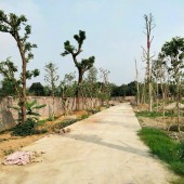 Bán diện tích 5130 m2 đất tại Hoà Sơn, Lương Sơn, Phú Thọ