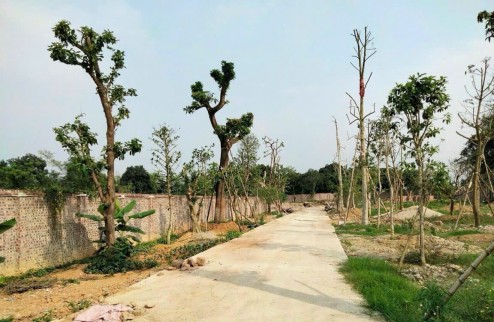 Bán diện tích 5130 m2 đất tại Hoà Sơn, Lương Sơn, Phú Thọ